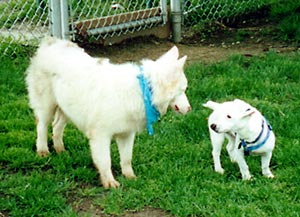 Mintaka & Casper