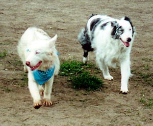 Mintaka & Gwydion