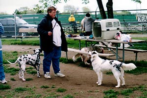 Nancy & dogs again