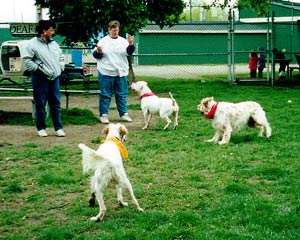 Nancy & dogs