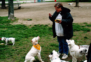 Glenys sitting for cake